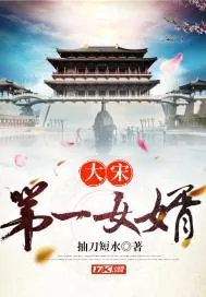 《大宋第一女婿》小说封面