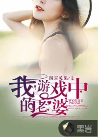 《我游戏中的老婆》小说封面