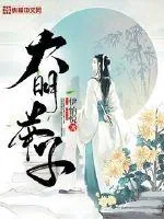 《大明举子》小说封面
