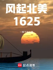 《风起北美1625》小说封面