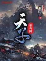 《天子奈若何》小说封面