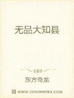 《无品大知县》小说封面