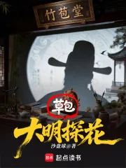 《大明草包探花》小说封面