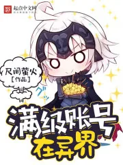 《满级账号在异界》小说封面