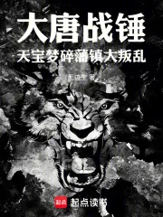 《大唐战锤：天宝梦碎，藩镇大叛乱》小说封面