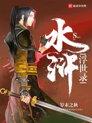 《水浒浮世录》小说封面