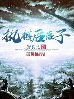 《执棋后落子》小说封面