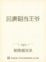 《回唐朝当王爷》小说封面