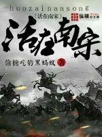 《活在南宋》小说封面
