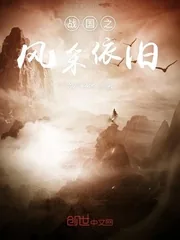 《战国之风采依旧》小说封面