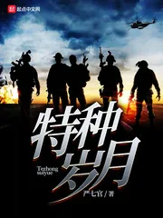 《特种岁月》小说封面