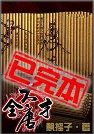 《大唐全才》小说封面