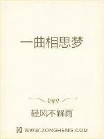 《一曲相思梦》小说封面