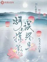 《湖光掠影误终生》小说封面