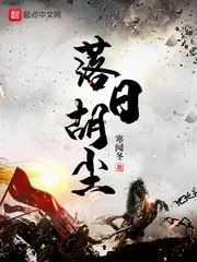 《落日胡尘》小说封面