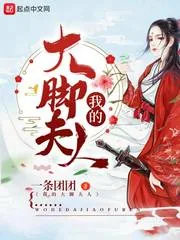 《我的大脚夫人》小说封面