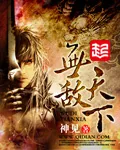 《无敌天下》小说封面