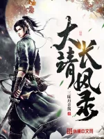 《大靖长风录》小说封面