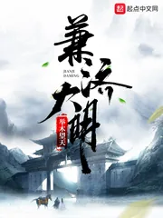 《兼济大明》小说封面