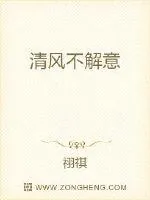 《清风可否解意》小说封面