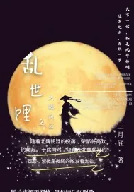 《乱世哩》小说封面
