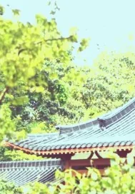 《一代倾城挽山河》小说封面