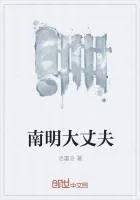 《南明大丈夫》小说封面