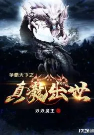《争霸天下之真龙出世》小说封面