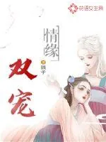 《双宠情缘》小说封面