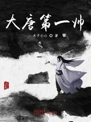 《大唐第一帅》小说封面