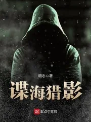 《谍海猎影》小说封面