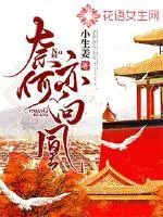 《奈何亦向凰》小说封面