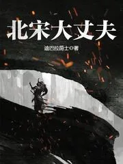 《北宋大丈夫》小说封面