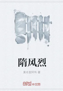《隋风烈》小说封面