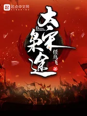《大宋枭途》小说封面