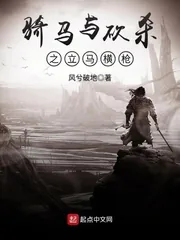 《骑马与砍杀之立马横枪》小说封面