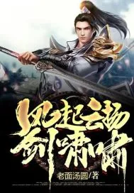 《风起云扬剑啸啸》小说封面