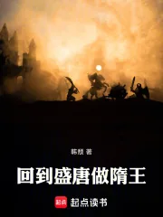 《回到盛唐做隋王》小说封面