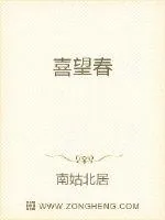 《喜望春》小说封面
