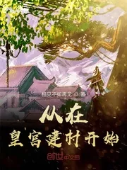 《从在皇宫建村开始》小说封面