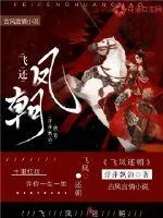 《飞凤还朝》小说封面