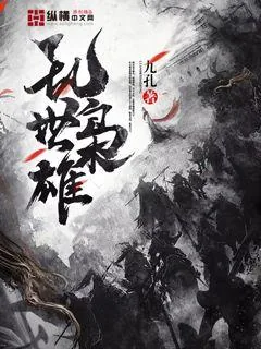 《乱世枭雄》小说封面