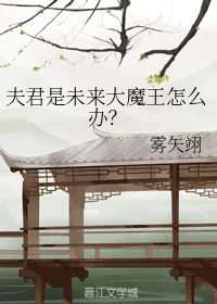 《夫君是未来大魔王怎么办？》小说封面