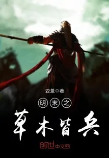 《明末之草木皆兵》小说封面