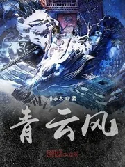 《青云风》小说封面