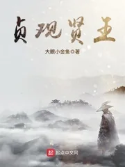 《贞观贤王》小说封面