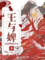 《王与婢》小说封面