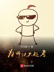 《为师决不赴考》小说封面