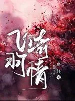 《飞羽奇情》小说封面