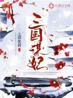 《三国谋妃》小说封面